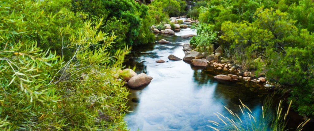 bloom where you are planted